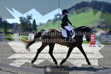 ref. photo 3552511