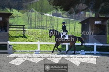 ref. photo 3552522