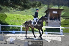 ref. photo 3552524