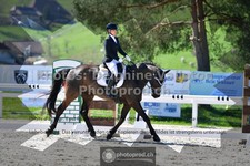 ref. photo 3552527