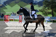 ref. photo 3552529