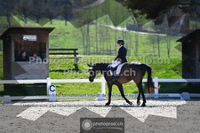 ref. photo 3552536