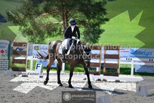 ref. photo 3552539