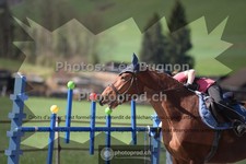 ref. photo 3552543