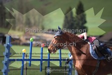 ref. photo 3552544