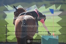 ref. photo 3552548