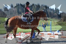 ref. photo 3552551