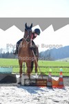 ref. photo 3552555