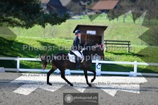 ref. photo 3552588