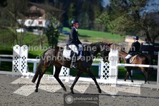 ref. photo 3552598
