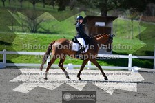 ref. photo 3552611