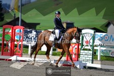 ref. photo 3552612
