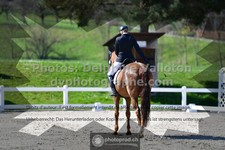 ref. photo 3552616