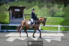 ref. photo 3552619