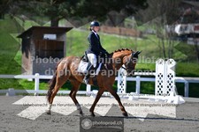 ref. photo 3552620