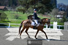 ref. photo 3552626