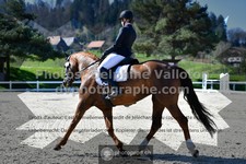 ref. photo 3552628