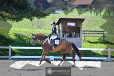 ref. photo 3552634