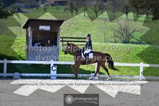ref. photo 3552637