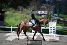 ref. photo 3552640