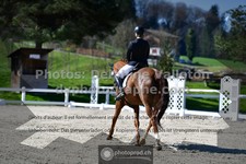 ref. photo 3552649