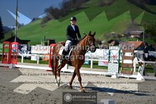 ref. photo 3552656
