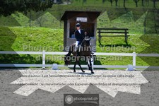 ref. photo 3552680