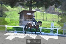 ref. photo 3552689