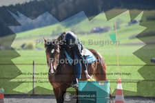 ref. photo 3552703