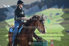 ref. photo 3552705