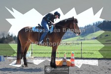 ref. photo 3552711