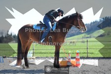 ref. photo 3552712