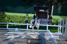 ref. photo 3552720
