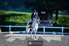 ref. photo 3552728