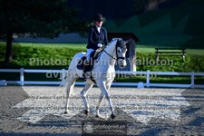 ref. photo 3552730