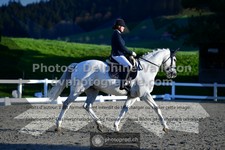 ref. photo 3552732
