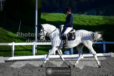 ref. photo 3552736