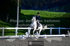 ref. photo 3552738