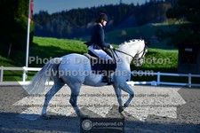 ref. photo 3552742
