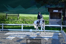 ref. photo 3552751