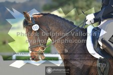 ref. photo 3552767