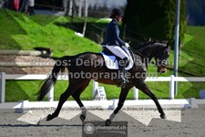 ref. photo 3552783