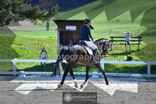 ref. photo 3552786