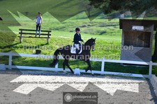 ref. photo 3552795