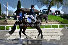 ref. photo 3552801