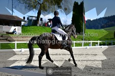 ref. photo 3552802