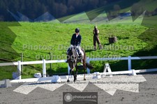 ref. photo 3552806