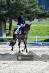 ref. photo 3552811