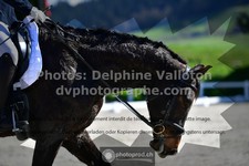 ref. photo 3552813