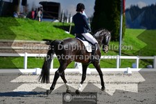 ref. photo 3552814